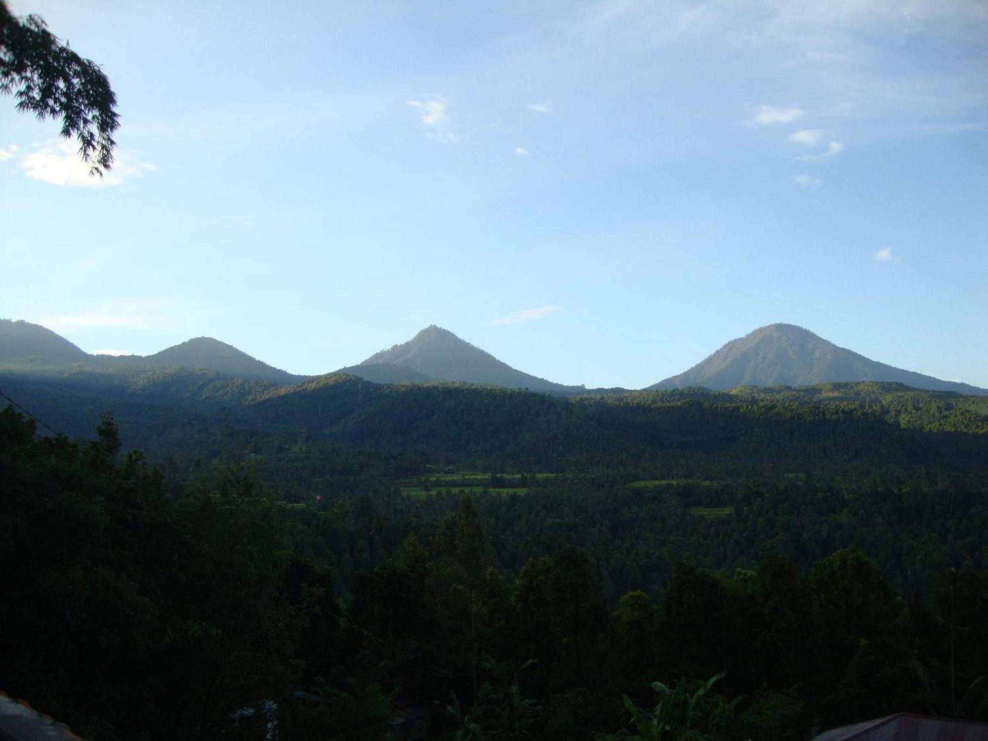 Edy Homestay Munduk Dış mekan fotoğraf