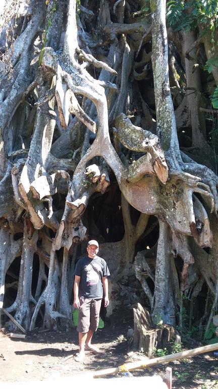 Edy Homestay Munduk Dış mekan fotoğraf