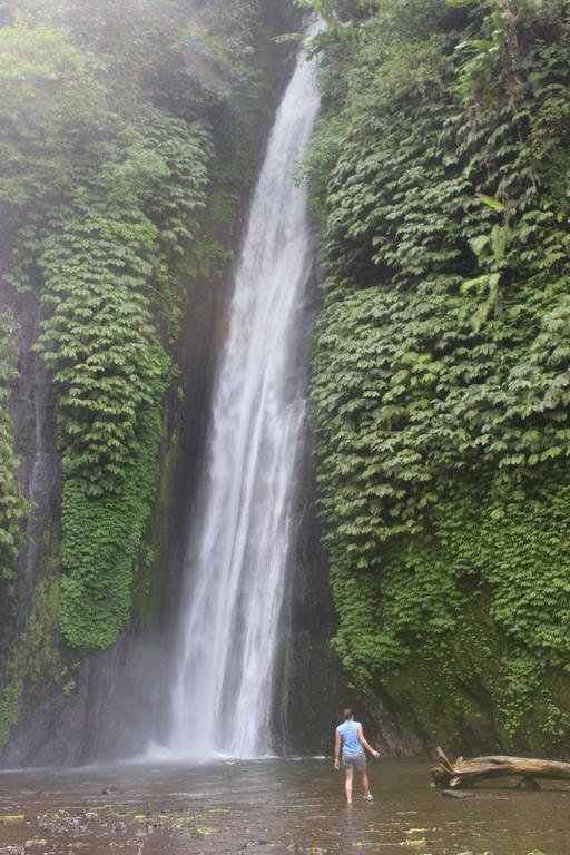 Edy Homestay Munduk Dış mekan fotoğraf