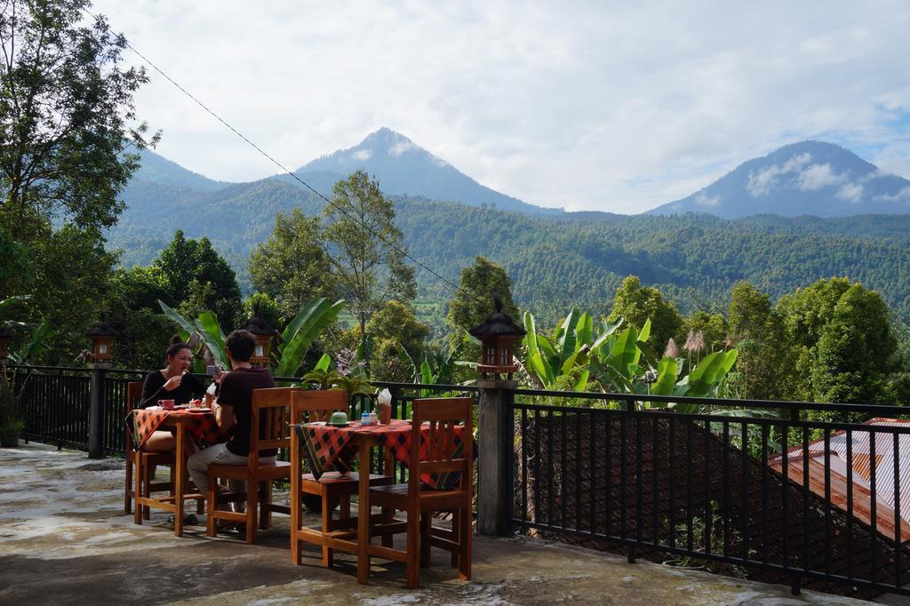 Edy Homestay Munduk Dış mekan fotoğraf